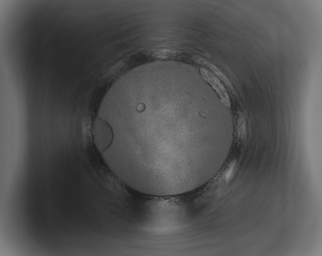 X0000102360569200808011455