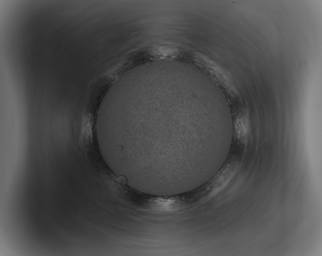 X0000102360570200808011455