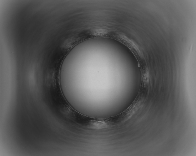 X0000102360572200808011455