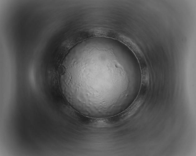 X0000102360573200808011455