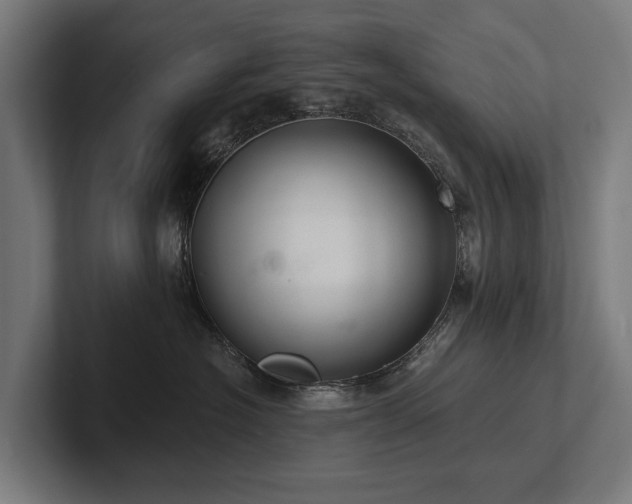 X0000102360574200808011455