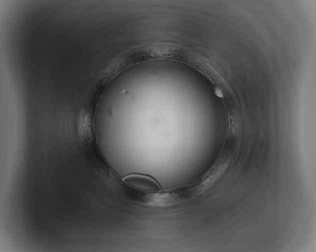 X0000102360575200808011455