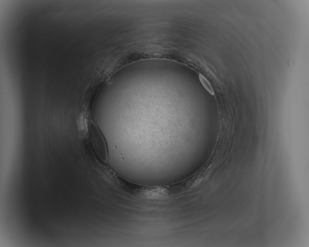 X0000102360576200808011455