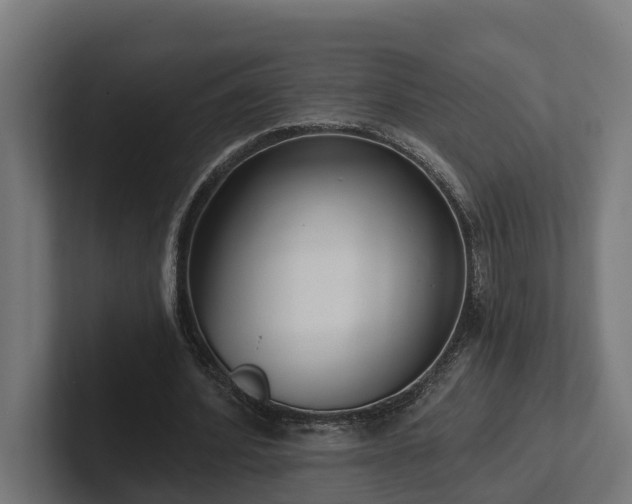 X0000102360580200808011454