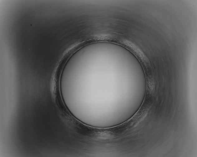 X0000102360583200808011454