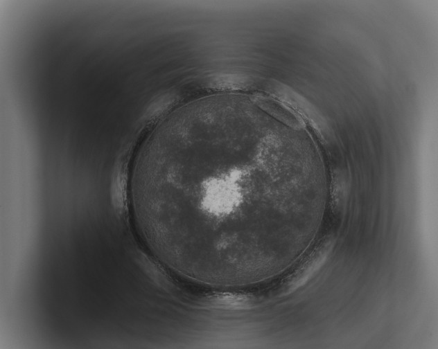 X0000102360585200808011454