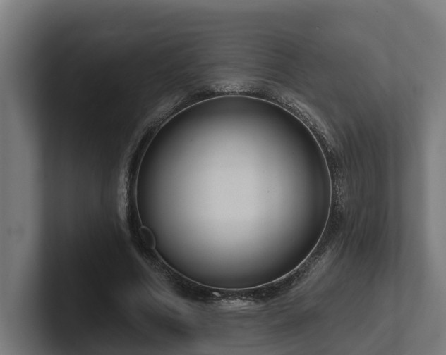 X0000102360586200808011454