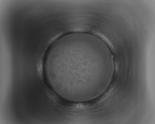 X0000102360588200808011454
