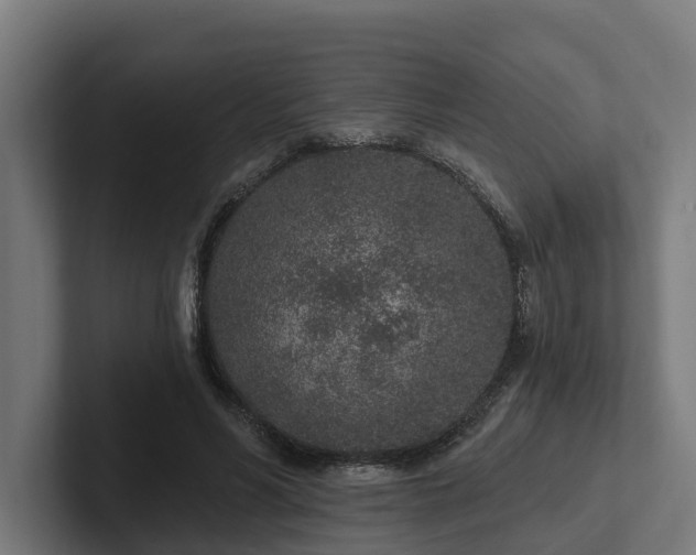 X0000102360590200808011454