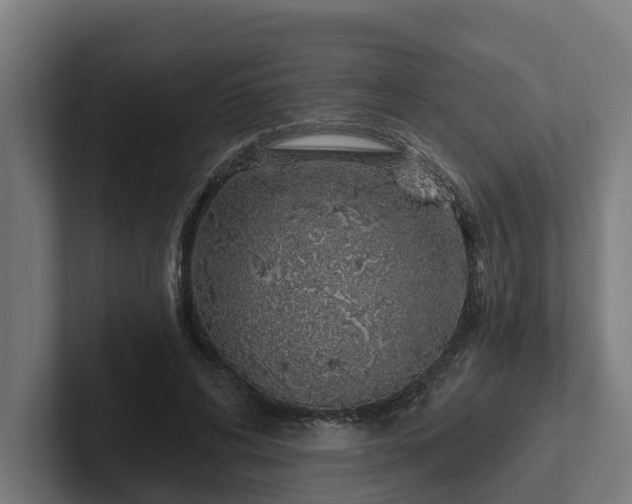 X0000102360592200808011454
