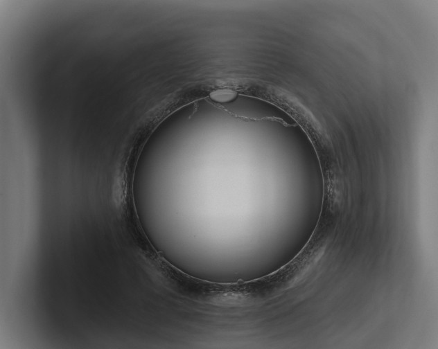 X0000102360593200808011454
