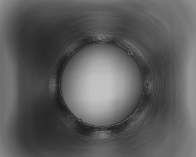 X0000102360595200808011454