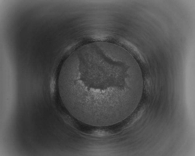 X0000102360596200808011454
