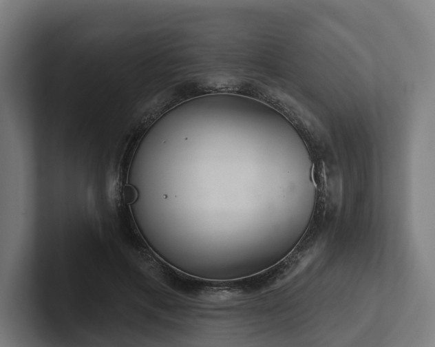 X0000102360597200808011454