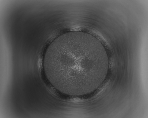 X0000102360598200808011454
