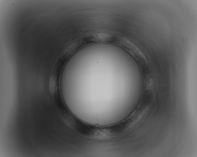 X0000102360599200808011454