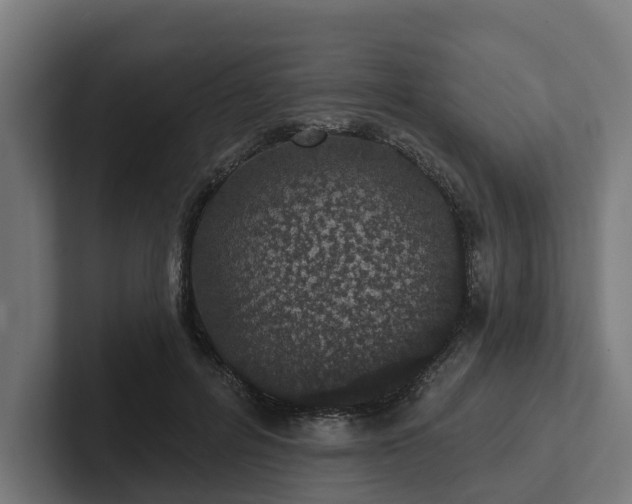 X0000102360600200808011454