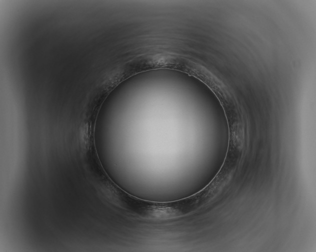X0000102360605200808011454