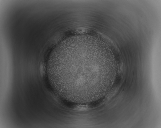 X0000102360606200808011454