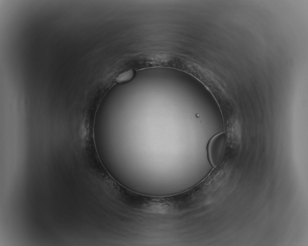 X0000102360608200808011454