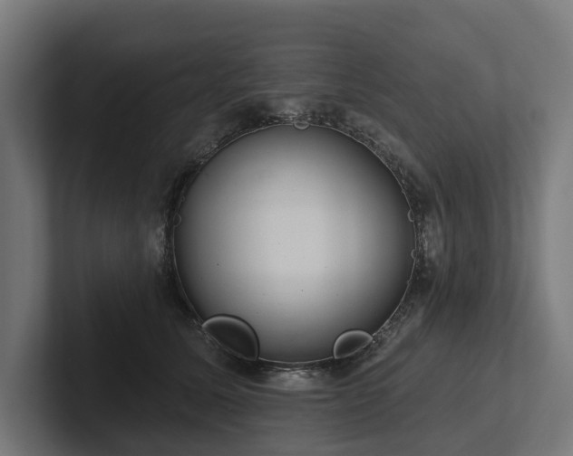 X0000102360611200808011454