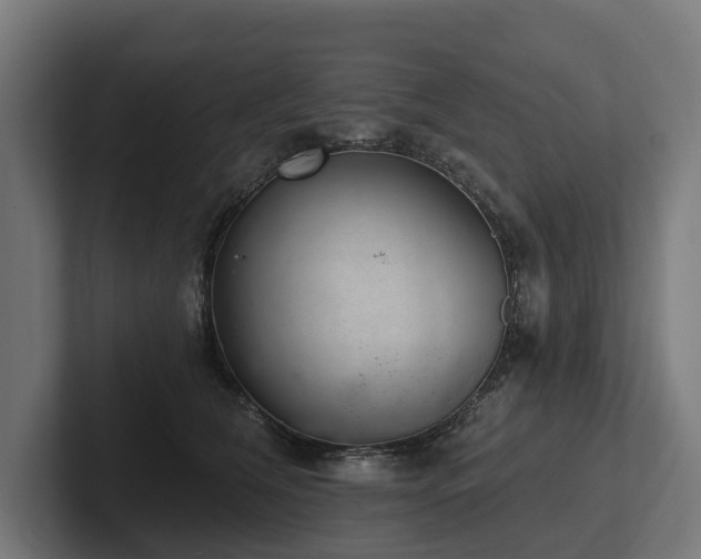 X0000102360612200808011454