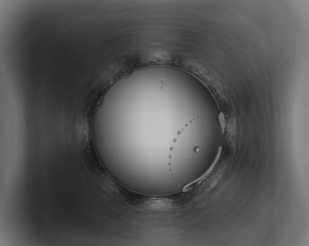 X0000102360617200808011454