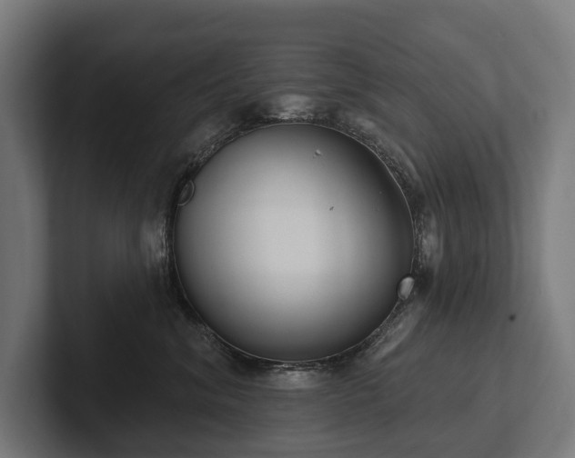 X0000102360620200808011454