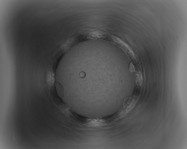 X0000102360621200808011454
