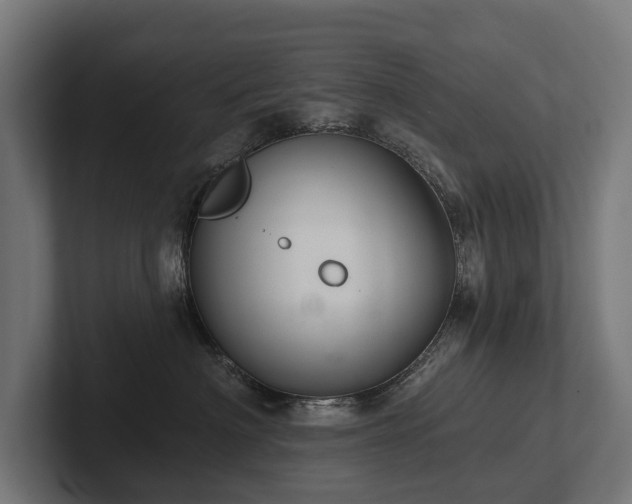 X0000102360622200808011454