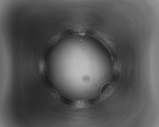 X0000102360623200808011454