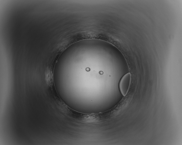X0000102360624200808011454