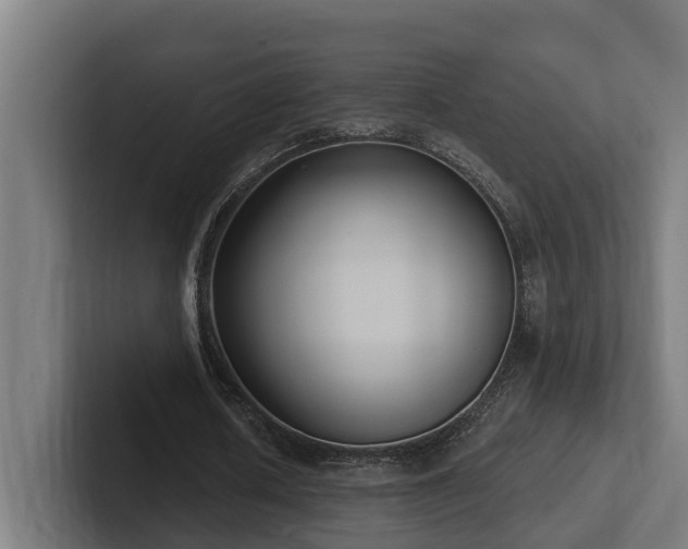 X0000102360626200808011453