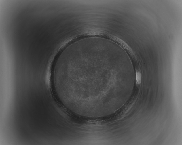 X0000102360627200808011453