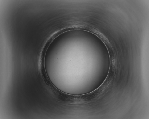X0000102360628200808011453