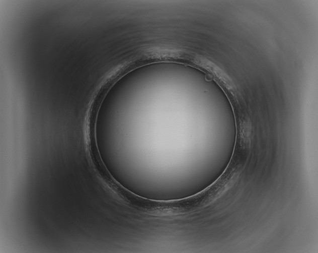 X0000102360629200808011453