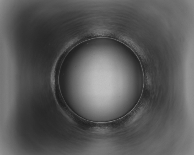 X0000102360630200808011453