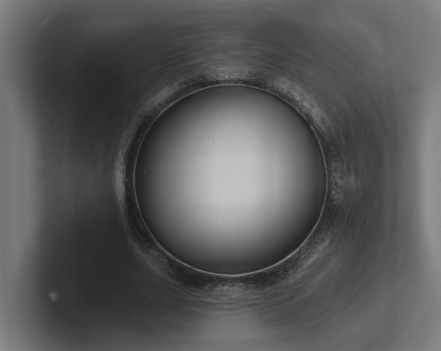 X0000102360631200808011453