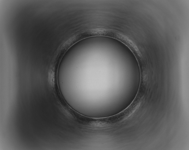 X0000102360633200808011453