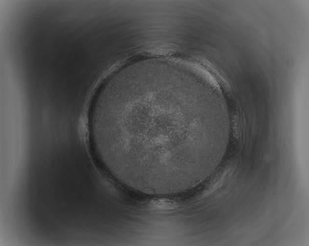 X0000102360634200808011453