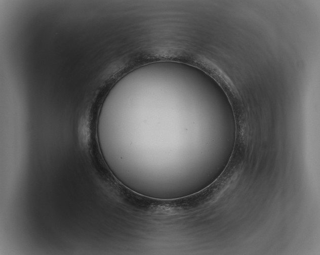X0000102360635200808011453