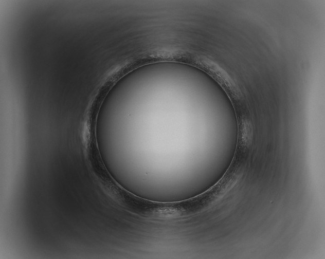 X0000102360636200808011453