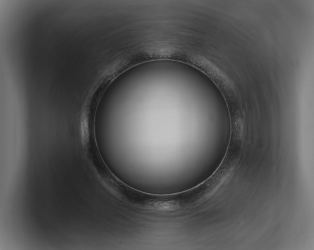 X0000102360638200808011453