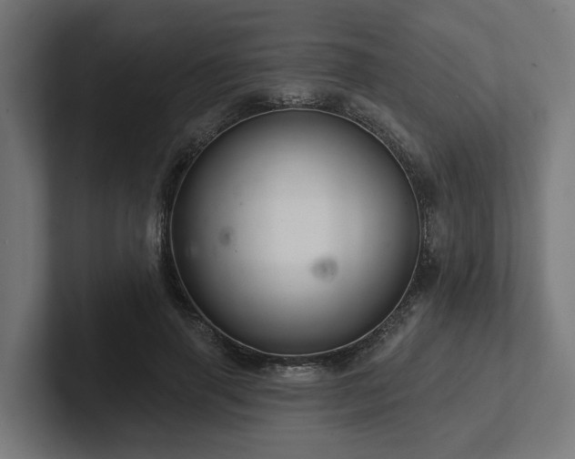 X0000102360645200808011453