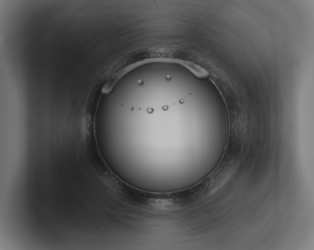 X0000102360649200808011453