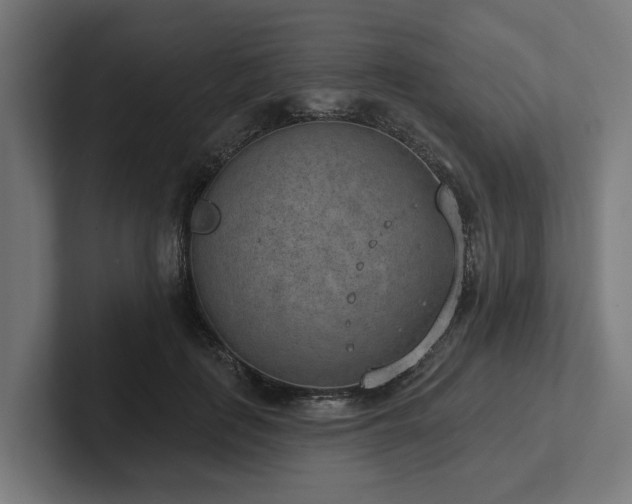 X0000102360651200808011453