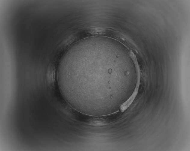 X0000102360652200808011453