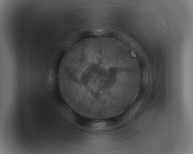X0000102360653200808011453