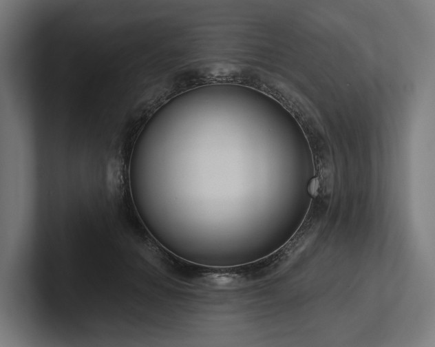 X0000102360654200808011453