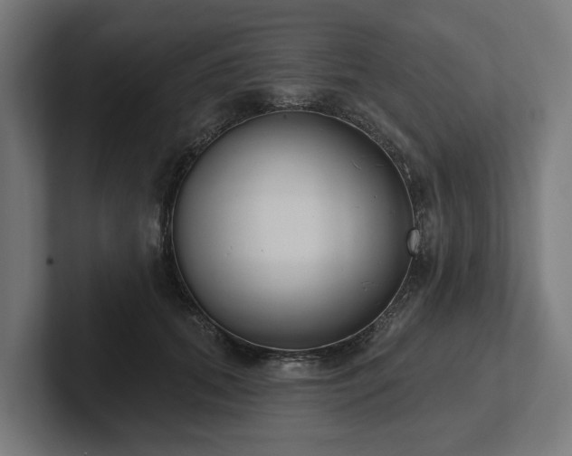 X0000102360655200808011453